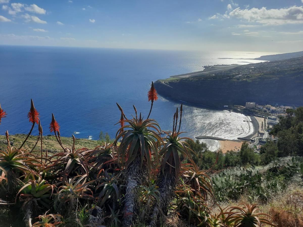 Sunny Beach Machico Apartment By Hr Madeira Kültér fotó